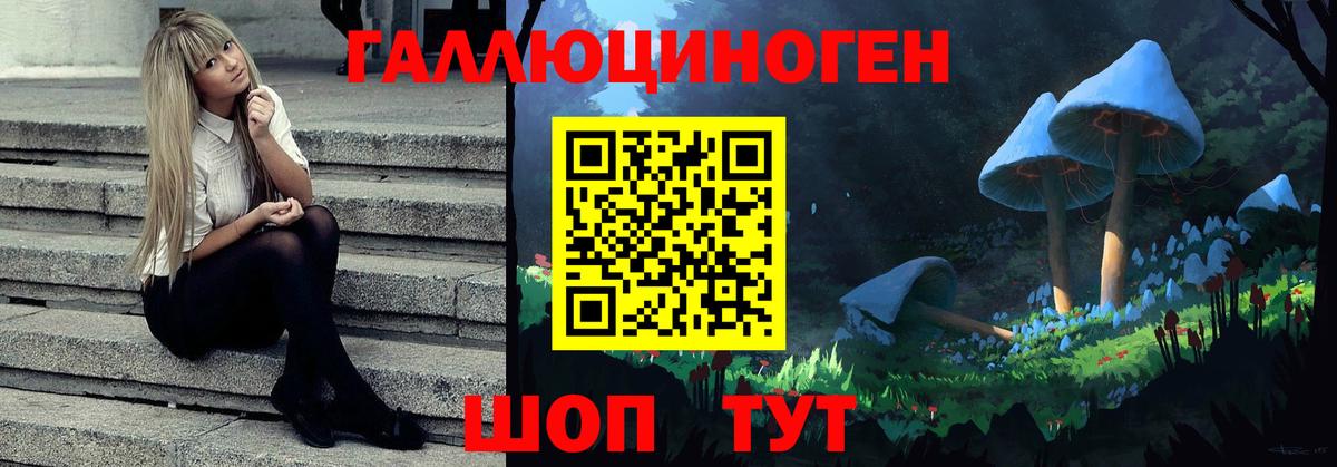 Галлюциногенные грибы MAGIC MUSHROOMS Кызыл